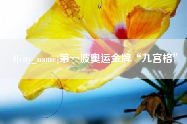 抚顺第一波奥运金牌“九宫格”