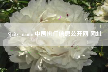 抚顺中国执行信息公开网 网址