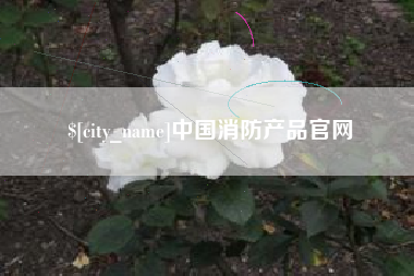 抚顺中国消防产品官网