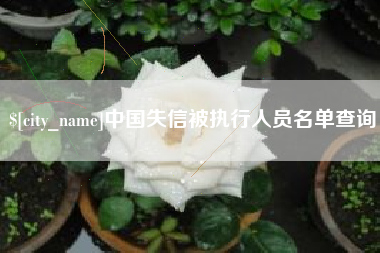 抚顺中国失信被执行人员名单查询