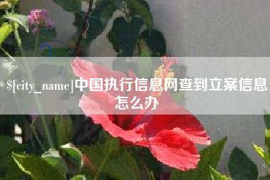 抚顺中国执行信息网查到立案信息怎么办