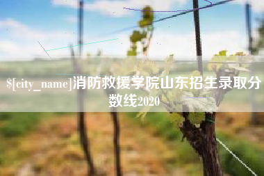 抚顺消防救援学院山东招生录取分数线2020