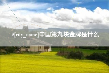 抚顺中国第九块金牌是什么