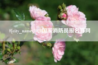 抚顺2021国家消防员报名官网