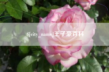 抚顺王子豪百科
