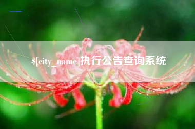 抚顺执行公告查询系统
