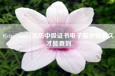 抚顺消防中级证书电子版查询多久才能查到