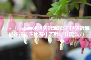 抚顺5000米世界冠军配速-世界冠军们往往能在比赛中巧妙地分配体力