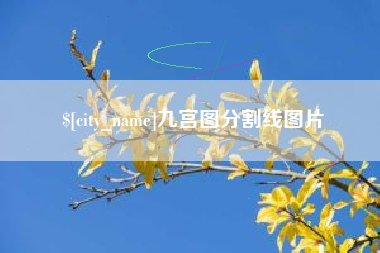 抚顺九宫图分割线图片