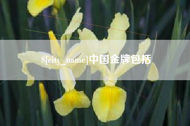 抚顺中国金牌包括