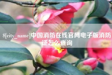 抚顺中国消防在线官网电子版消防证怎么查询