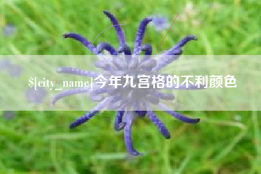 抚顺今年九宫格的不利颜色