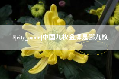 抚顺中国九枚金牌是哪九枚