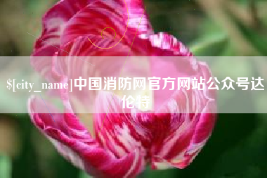 抚顺中国消防网官方网站公众号达伦特