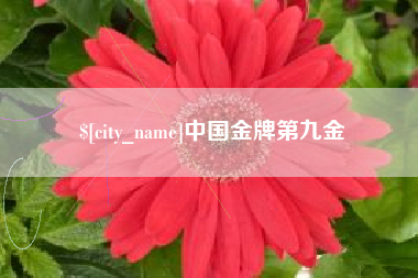 抚顺中国金牌第九金