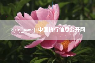 抚顺1.中国执行信息公开网
