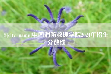 抚顺中国消防救援学院2024年招生分数线