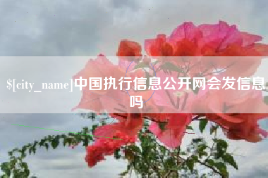 抚顺中国执行信息公开网会发信息吗