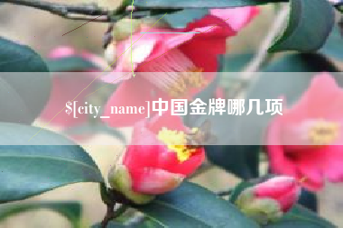 抚顺中国金牌哪几项