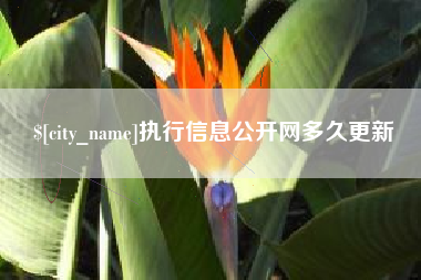 抚顺执行信息公开网多久更新