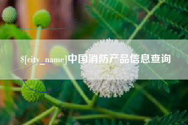 抚顺中国消防产品信息查询
