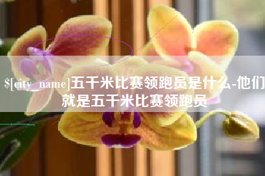 抚顺五千米比赛领跑员是什么-他们就是五千米比赛领跑员