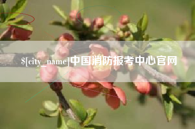抚顺中国消防报考中心官网