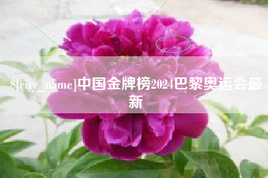 抚顺中国金牌榜2024巴黎奥运会最新