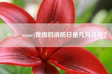 抚顺我国的消防日是几月几号？