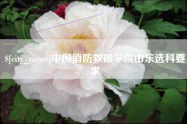 抚顺中国消防救援学院山东选科要求