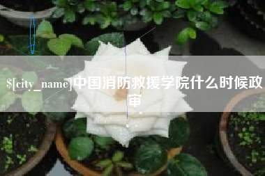 抚顺中国消防救援学院什么时候政审