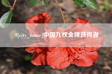 抚顺中国九枚金牌获得者