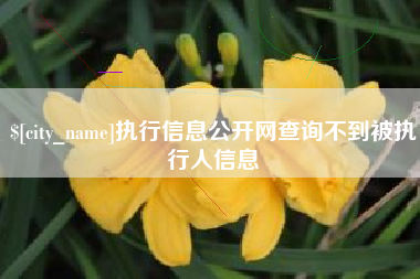抚顺执行信息公开网查询不到被执行人信息