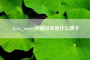抚顺中国冠军是什么牌子