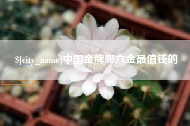 抚顺中国金牌哪六金最值钱的