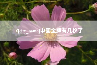 抚顺中国金牌有几枚了