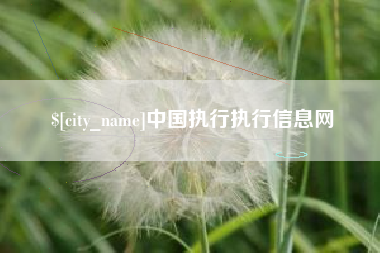 抚顺中国执行执行信息网