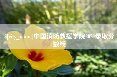 抚顺中国消防救援学院2021录取分数线