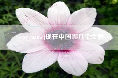 抚顺现在中国哪几个金牌