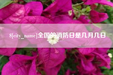 抚顺全国的消防日是几月几日