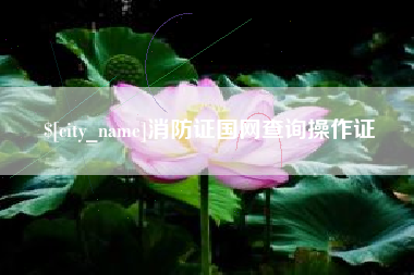 抚顺消防证国网查询操作证