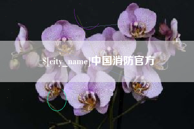 抚顺中国消防官方