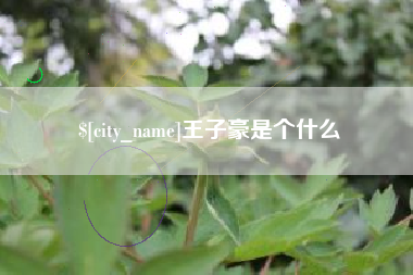 抚顺王子豪是个什么