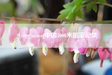 抚顺中国5000米国家记录