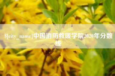 抚顺中国消防救援学院2020年分数线