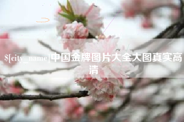 抚顺中国金牌图片大全大图真实高清