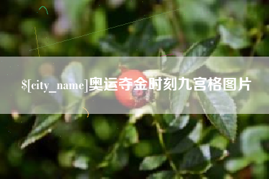 抚顺奥运夺金时刻九宫格图片