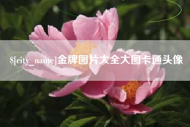 抚顺金牌图片大全大图卡通头像