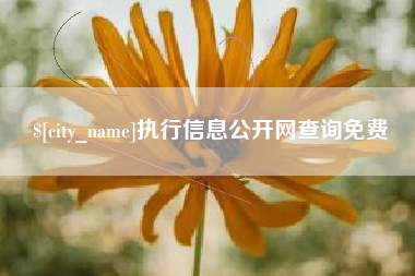 抚顺执行信息公开网查询免费