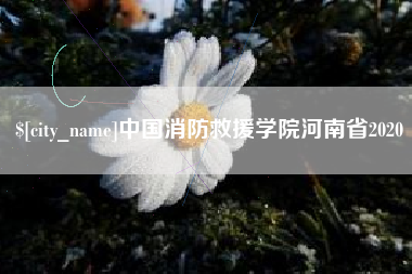 抚顺中国消防救援学院河南省2020